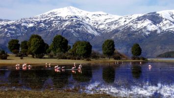 Lago Rosario es una joya escondida del turismo en la Patagonia.